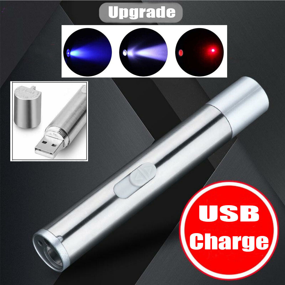 2PCS USB Rechargeable Laser Pointer Pen for Pets and Presentations