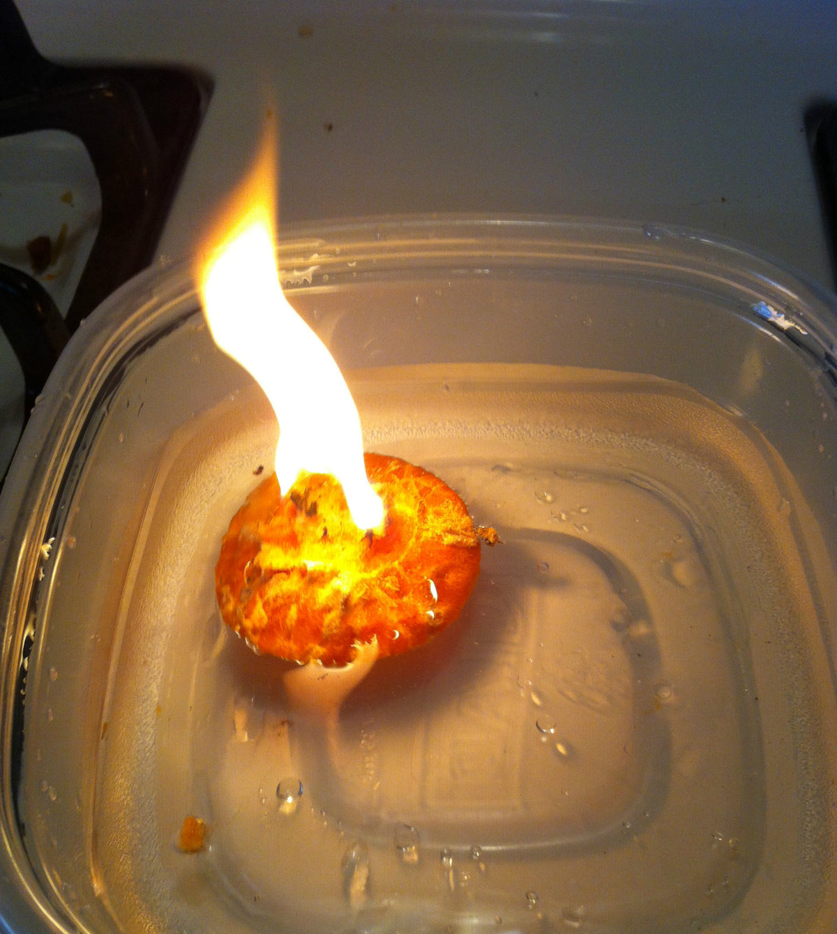 All Weather Fire Starter Wafers with Matches for Camping Survival