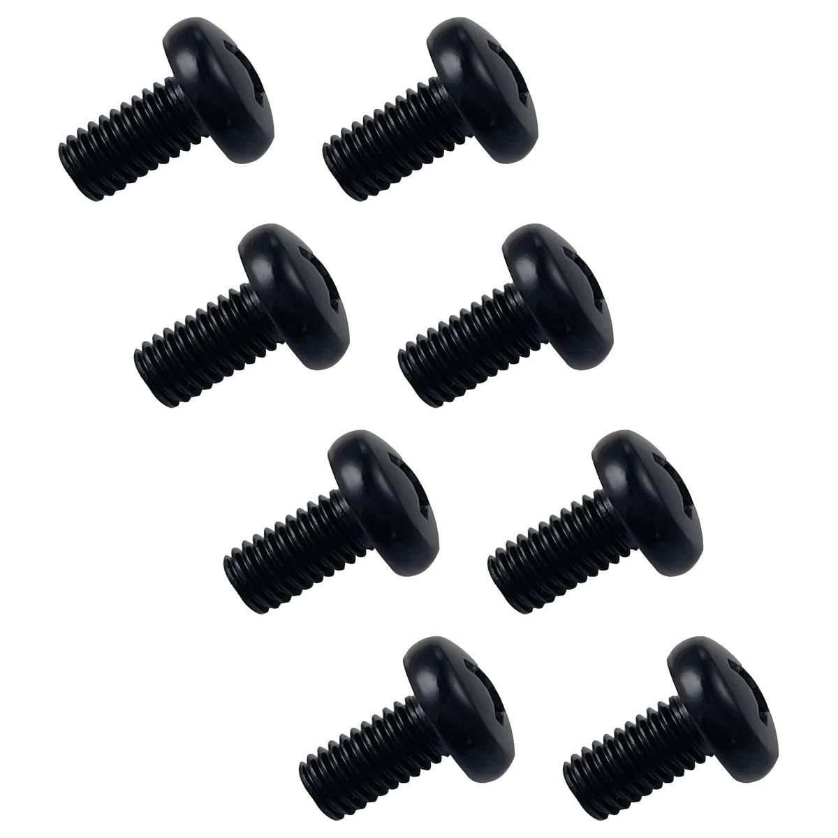 Black License Plate Screws M6-1.0 x 12mm Set for Vehicles