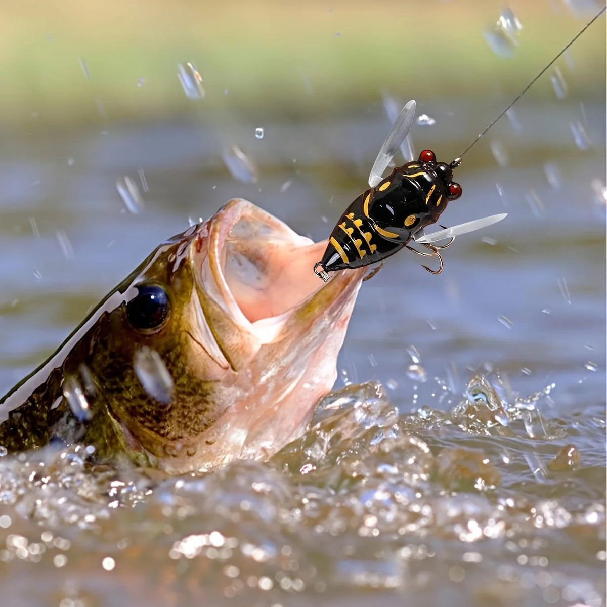 Holographic Cicada Fishing Lure 2024 Hard Bait for Freshwater & Saltwater