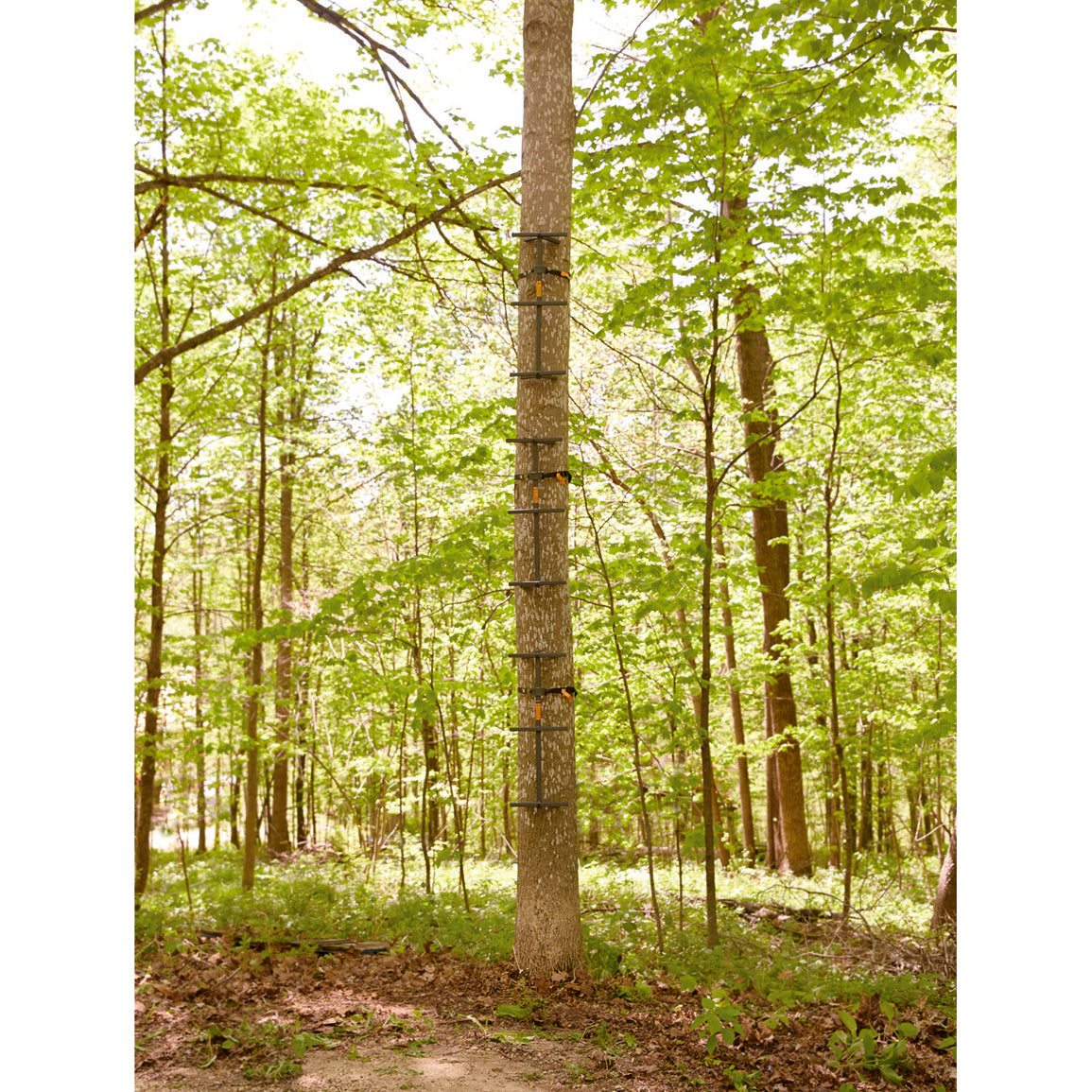 Guide Gear Quick Climbing Sticks - 3 Pack Tree Hunting Climbing Gear