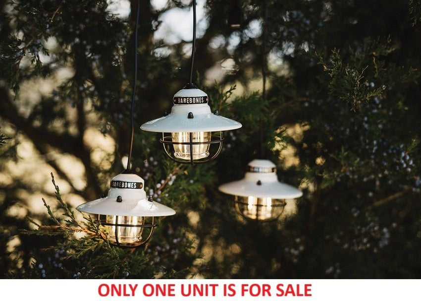 Rechargeable Edison Pendant Light with Steel & Plastic Construction