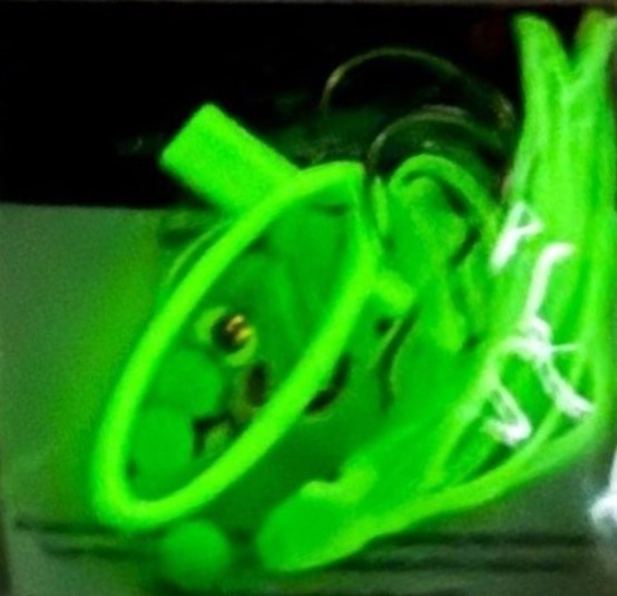 Salmon Fishing Spinners Glow Green Halo Hoochie Lures - 2 Pack