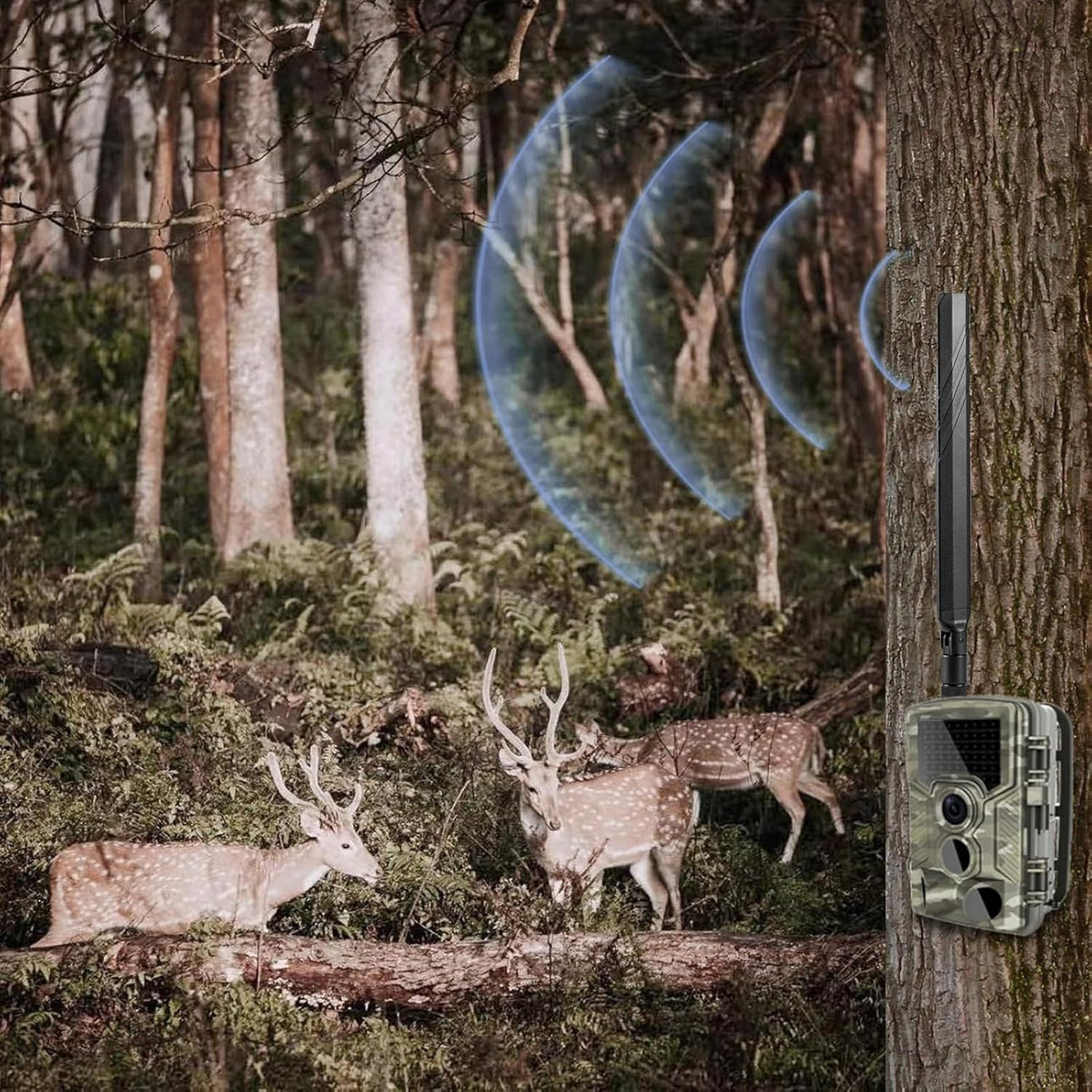 Cellular Trail Camera Antenna RP-SMA Male Replacement Antenna for Signal Boost
