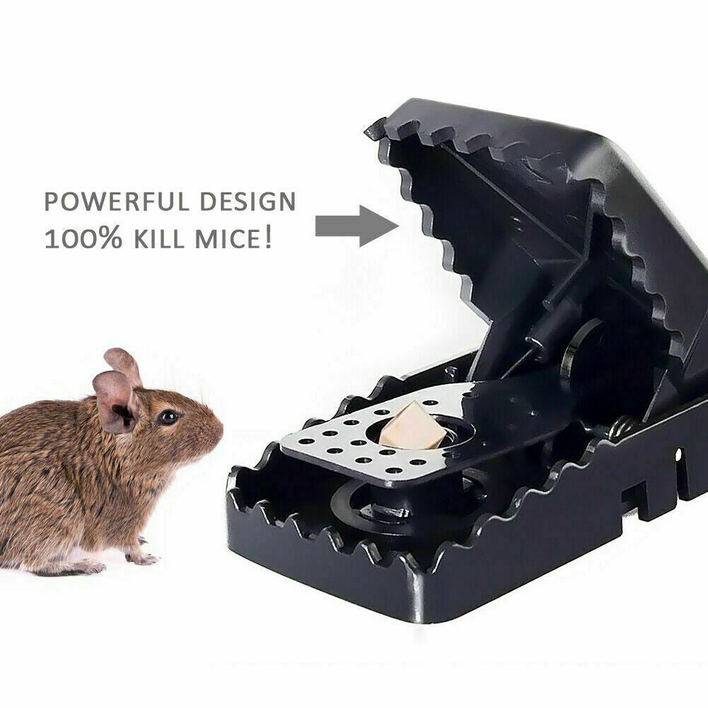 6 Pack Heavy Duty Mouse Traps - Snap Rodent Pest Killers for Indoor Outdoor Use