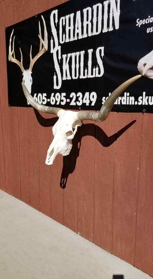 Heavy Duty Skull Hanger Bracket for Buffalo, Elk, Moose, Cattle Displays