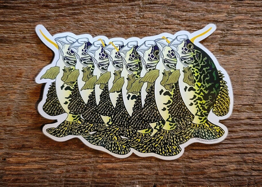 Crappie Stringer Sticker Decal - Waterproof Glossy Fly Fishing Accessory 5x3.5"