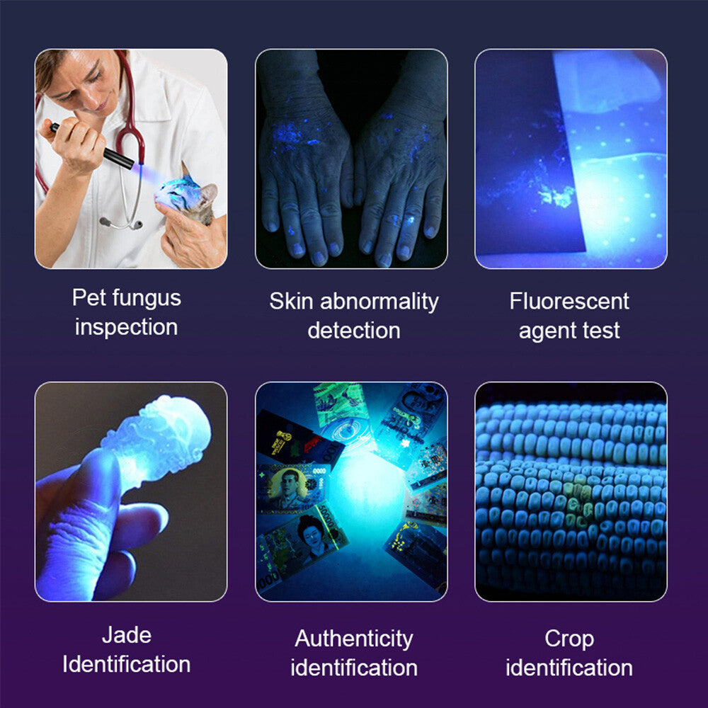 Rechargeable UV LED Flashlight 365nm Blacklight for Inspection Security Detection