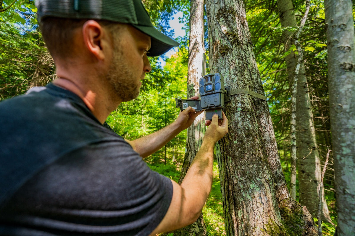Rechargeable Lithium Cartridge Battery for Trail Cameras - Reveal X XB SK PRO