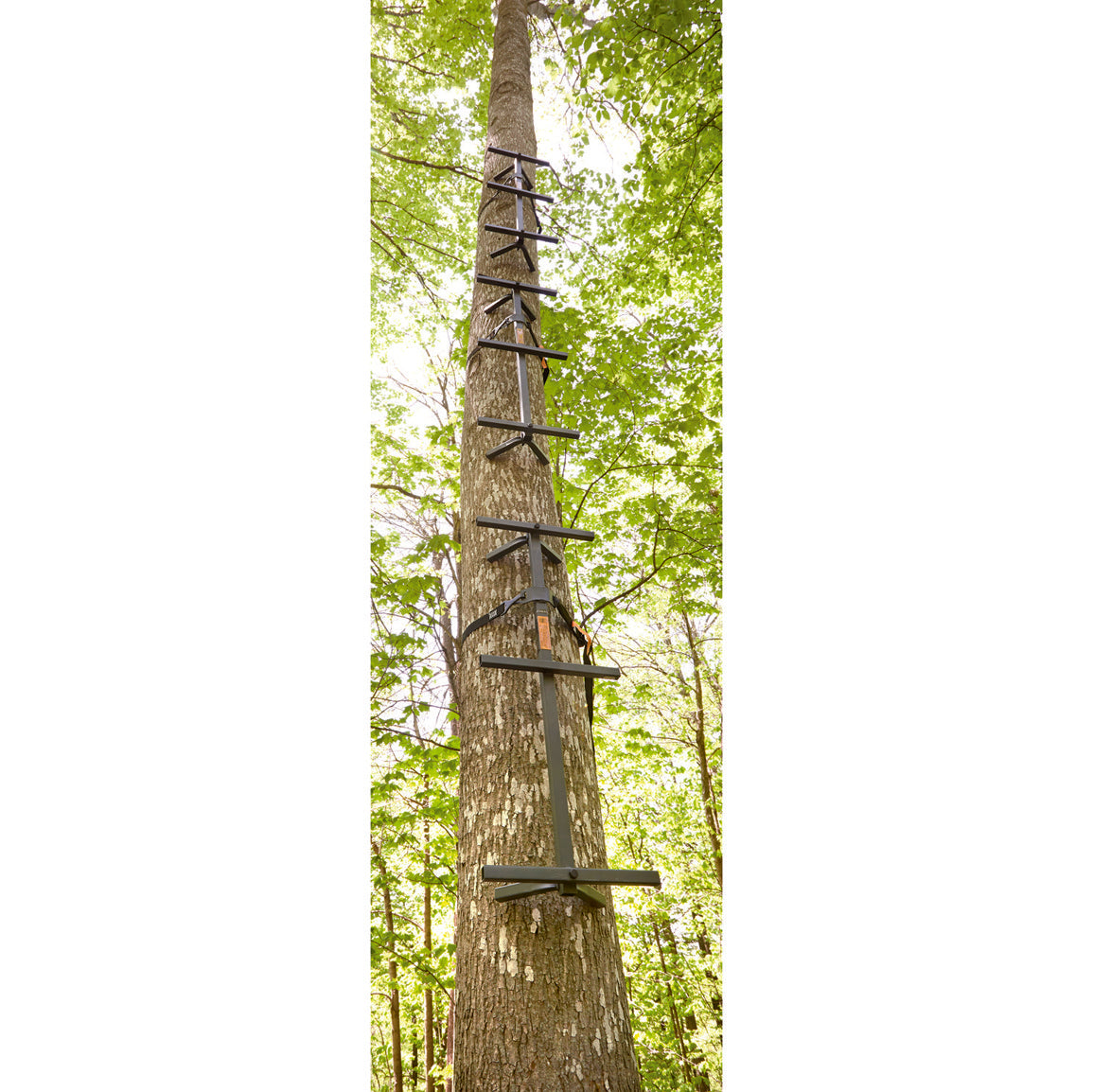 Guide Gear Quick Climbing Sticks - 3 Pack Tree Hunting Climbing Gear