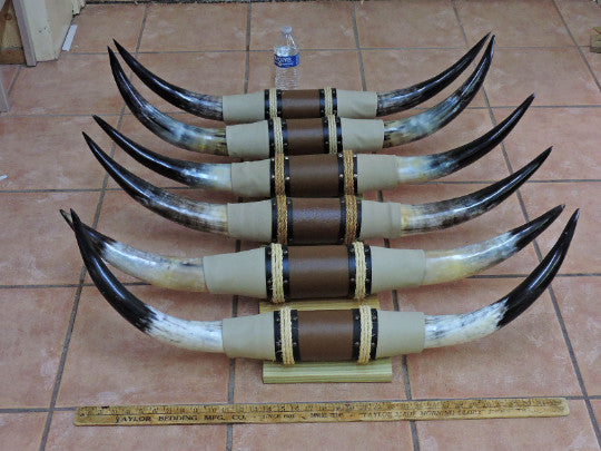 Mounted Longhorn Steer Horns Set - 3'0" to 3'6" Tip to Tip, Real & Polished