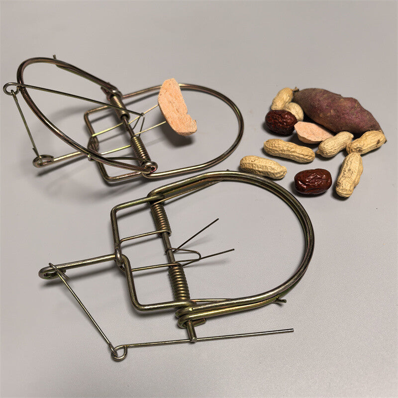 2pcs Heavy Duty Mouse Trap Set - Strong Spring Snap Rat Catcher