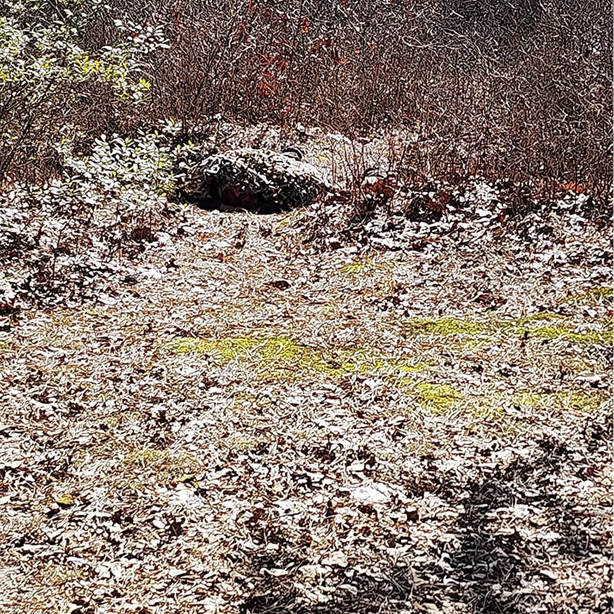 Lightweight Camouflage Netting for Outdoor Camping Hunting & Military Use