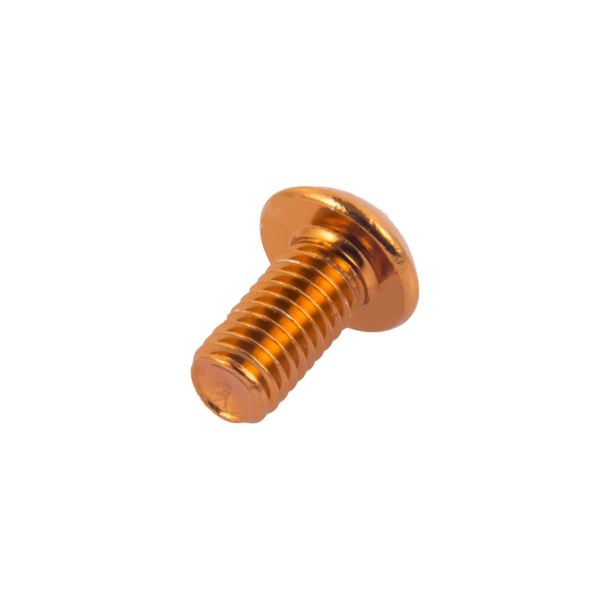 Mountain Bike Rotor Bolts T25 Titanium Steel 12 Pack for Disc Brakes