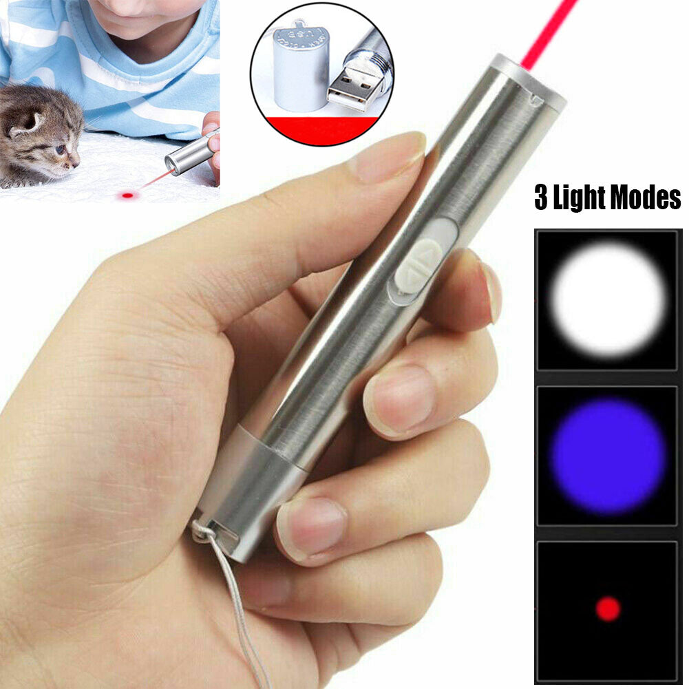 2PCS USB Rechargeable Laser Pointer Pen for Pets and Presentations