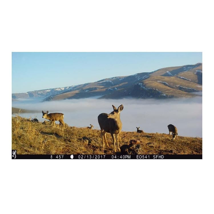 Trail Camera 24MP 1080p Full HD with Night Vision & 120ft Range