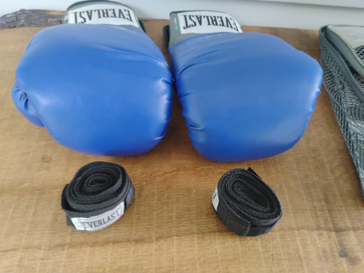 Everlast 2214 Pro Style Blue Boxing Training Gloves 14 oz with Carrying Case