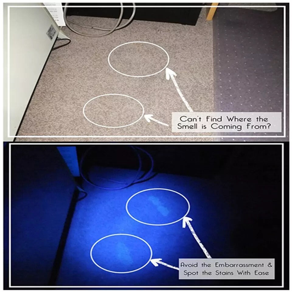 Pet Urine Stain Detector UV Flashlight - Black Light for Pet Messes