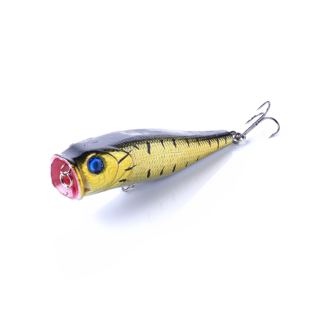 6-Pack Top Water Fishing Lures Crankbaits for Bass Freshwater Tackle
