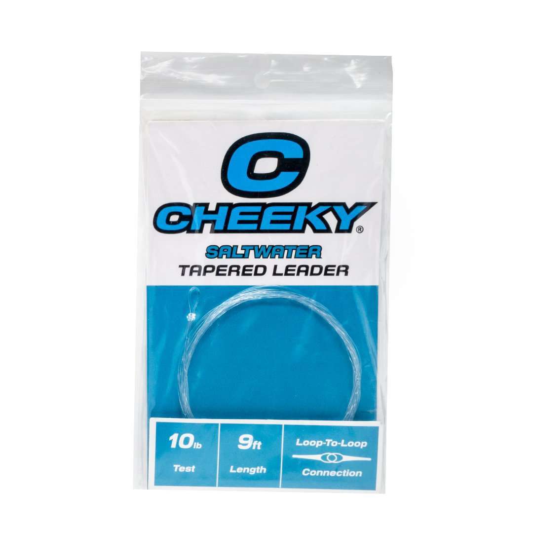 Saltwater Fly Leader Tapered 9ft Fishing Line for Bonefish, Tarpon, Snook & Redfish