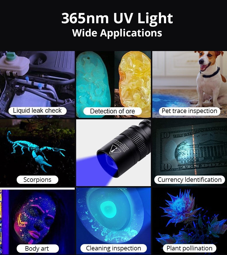 2-in-1 LED Flashlight with White & UV Black Light for Camping Detection