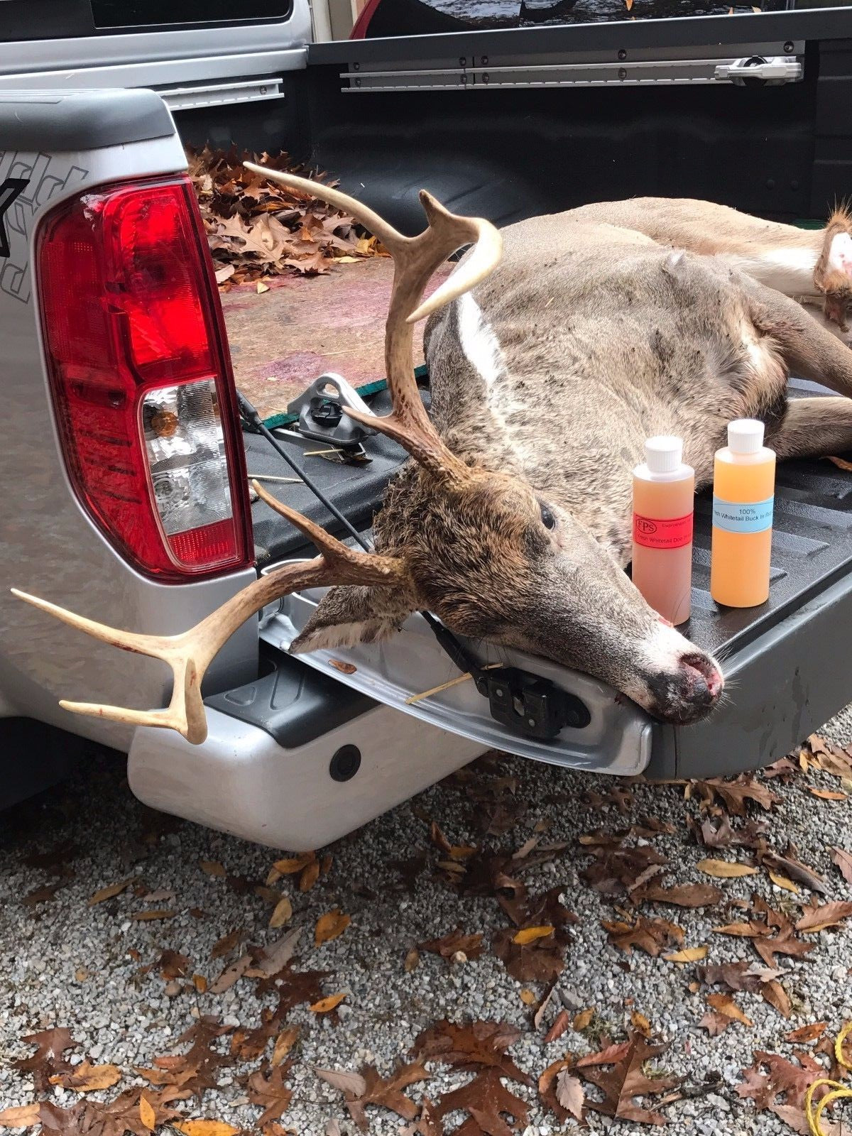 Deer In Heat Urine Lure - All Sizes for Hunting, Buck Estrous Scent