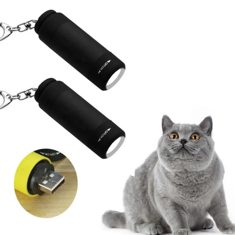 Mini LED Flashlight Torch USB Rechargeable Pocket Keychain Light 2pcs