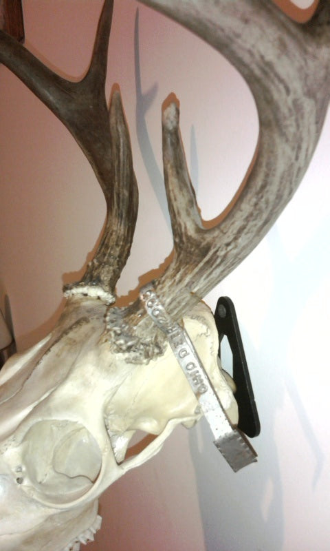 European Skull Mount Hanger - Deer Trophy Wall Hook for Taxidermy