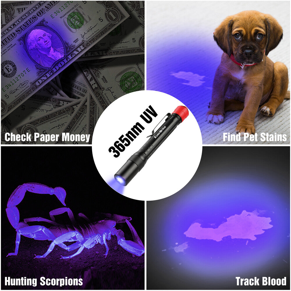 UV Black Light Flashlight 395nm Penlight Portable 3 Modes Waterproof
