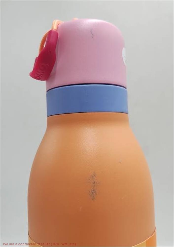 24oz Insulated Water Bottle with Twist Lid and Carry Loop - Cold & Hot Drinks