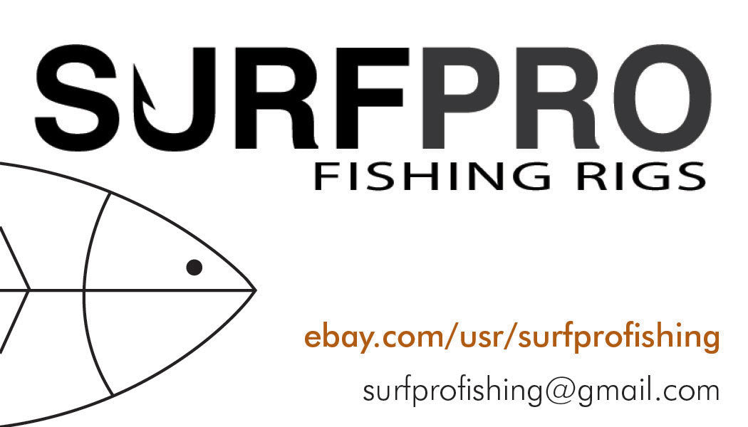 FishinG Rigs Set for Pier Surf Beach Fishing - 2/0 Circle Hooks, Fluoro Leaders