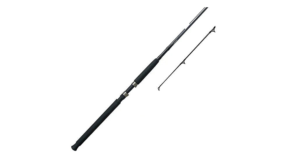 10ft Medium Heavy Spinning Fishing Rod - Saltwater & Freshwater