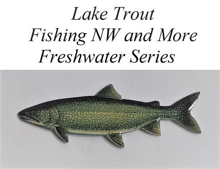 Walleye Fish Lapel Pin - Outdoors Fishing Gift for Enthusiasts