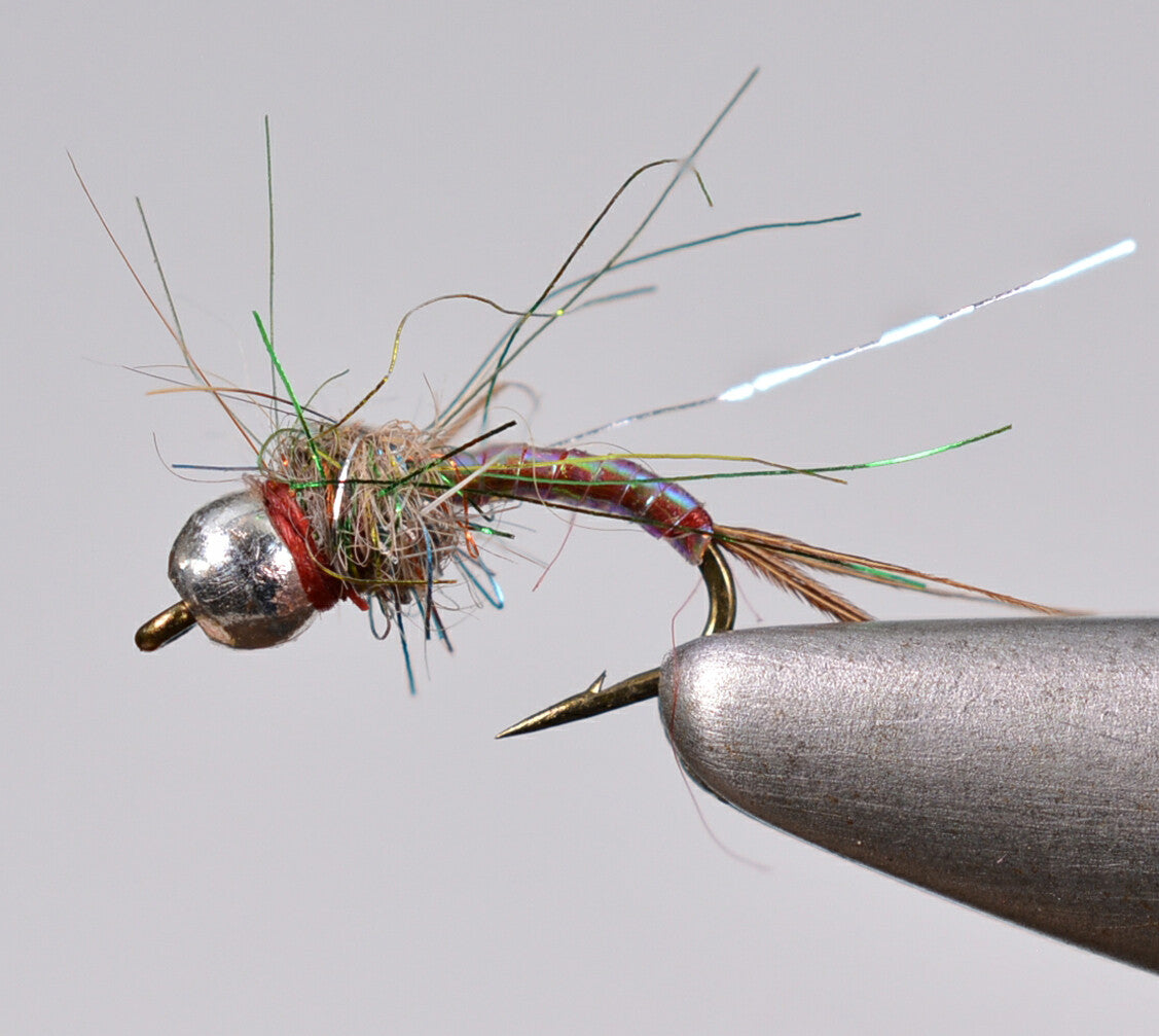 Tungsten Bead Rainbow Warrior Midge Nymph Flies for Fly Fishing - Assorted Sizes