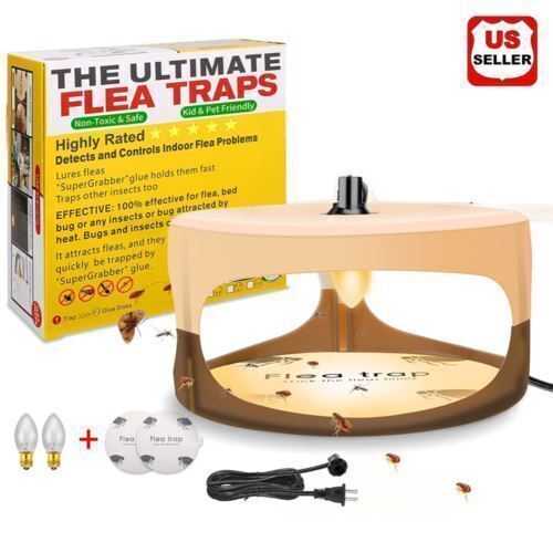 Electric Flea Trap with Sticky Discs and Non-Toxic Lamp Home Pest Control