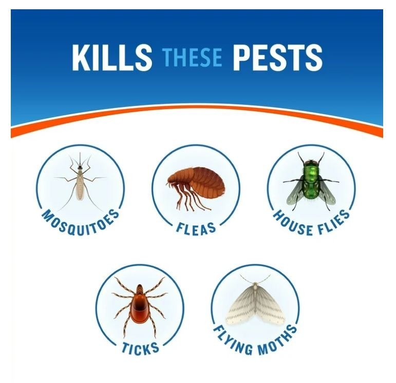 Backyard Bug Control Spray Concentrate for Mosquitoes & Fleas - 32 fl oz