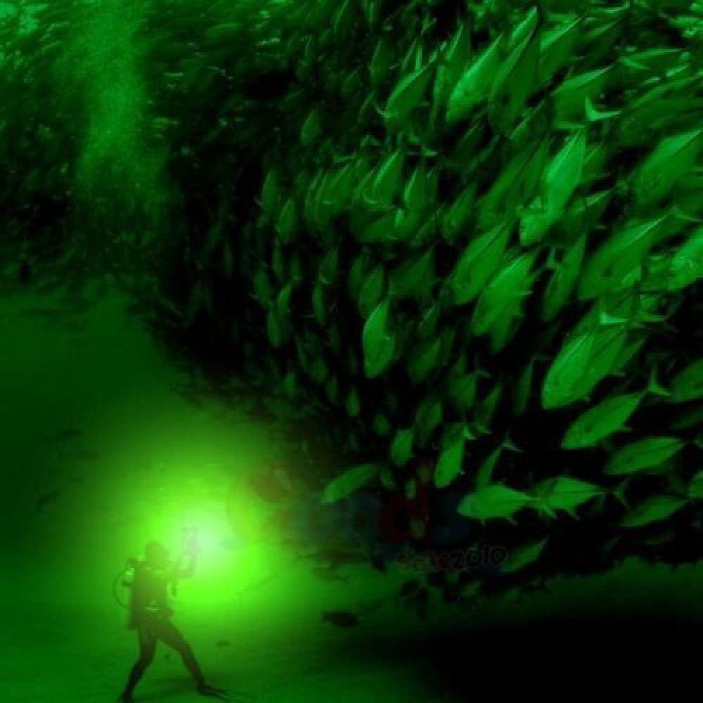 Green Underwater Fishing Light - 12V 120 LED Submersible Lamp for Night Fishing
