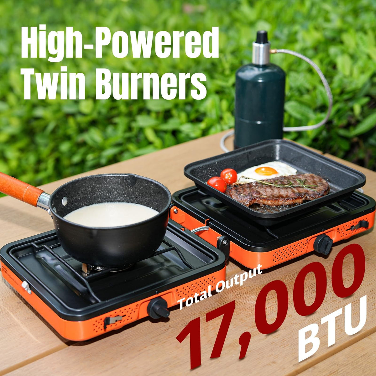 Portable 2 Burner Propane Camping Stove with Windshield, Carrying Case & Hose