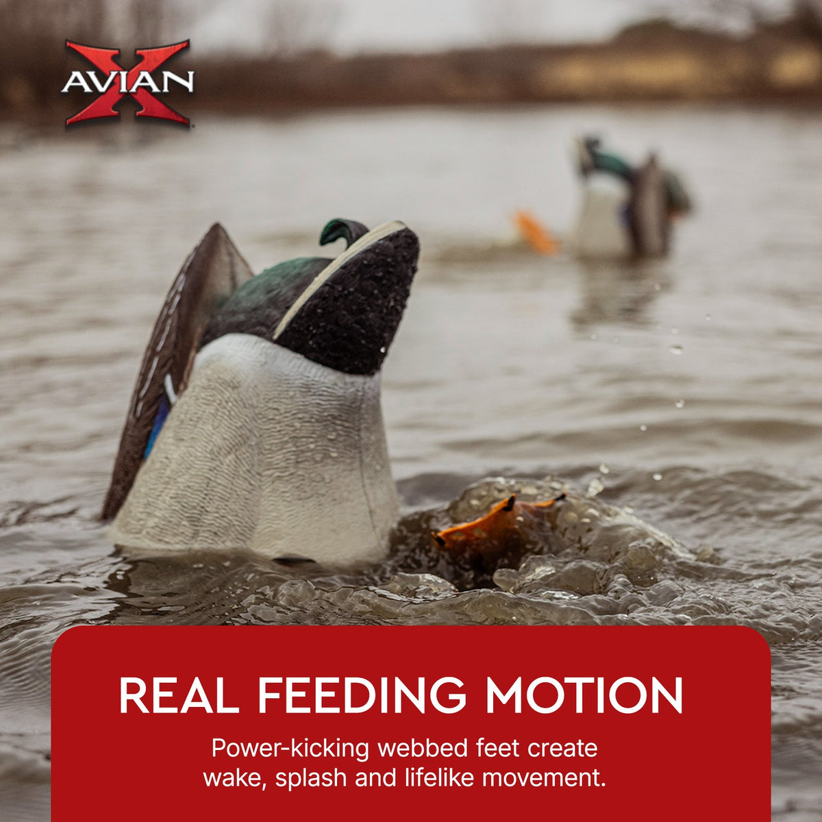Realistic Mallard Duck Decoy with Motion Kicking Feet for Waterfowl Hunting