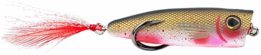 Fishing Topwater Popper Lure - 3/8 oz Snag Proof Zoo Pop Variety Pack