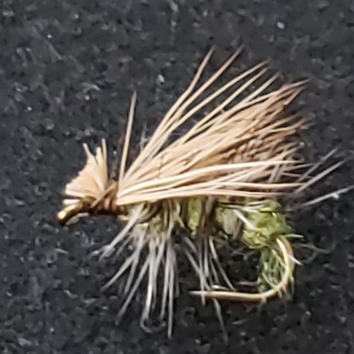 Olive Size 10 Elk Hair Caddis Dry Fly - Custom Tied for Fishing