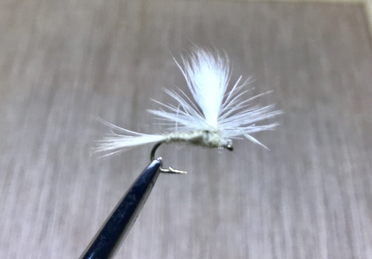12 Parachute Light Cahill Winged Olive Size 14 - Blue Winged Olive Nymphs