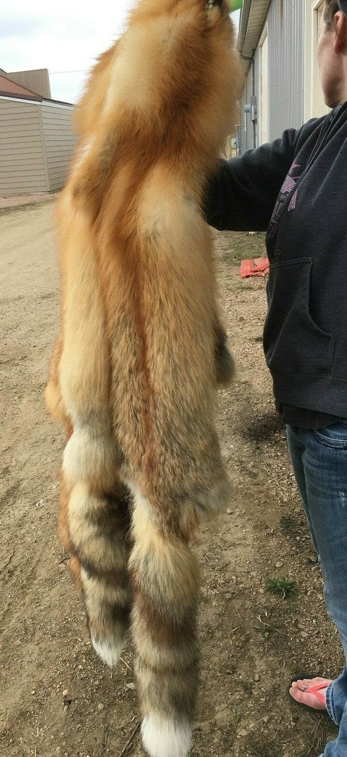 Heavy Red Fox Pelts for Crafts & Decor - Imperfect Grade, Western Region
