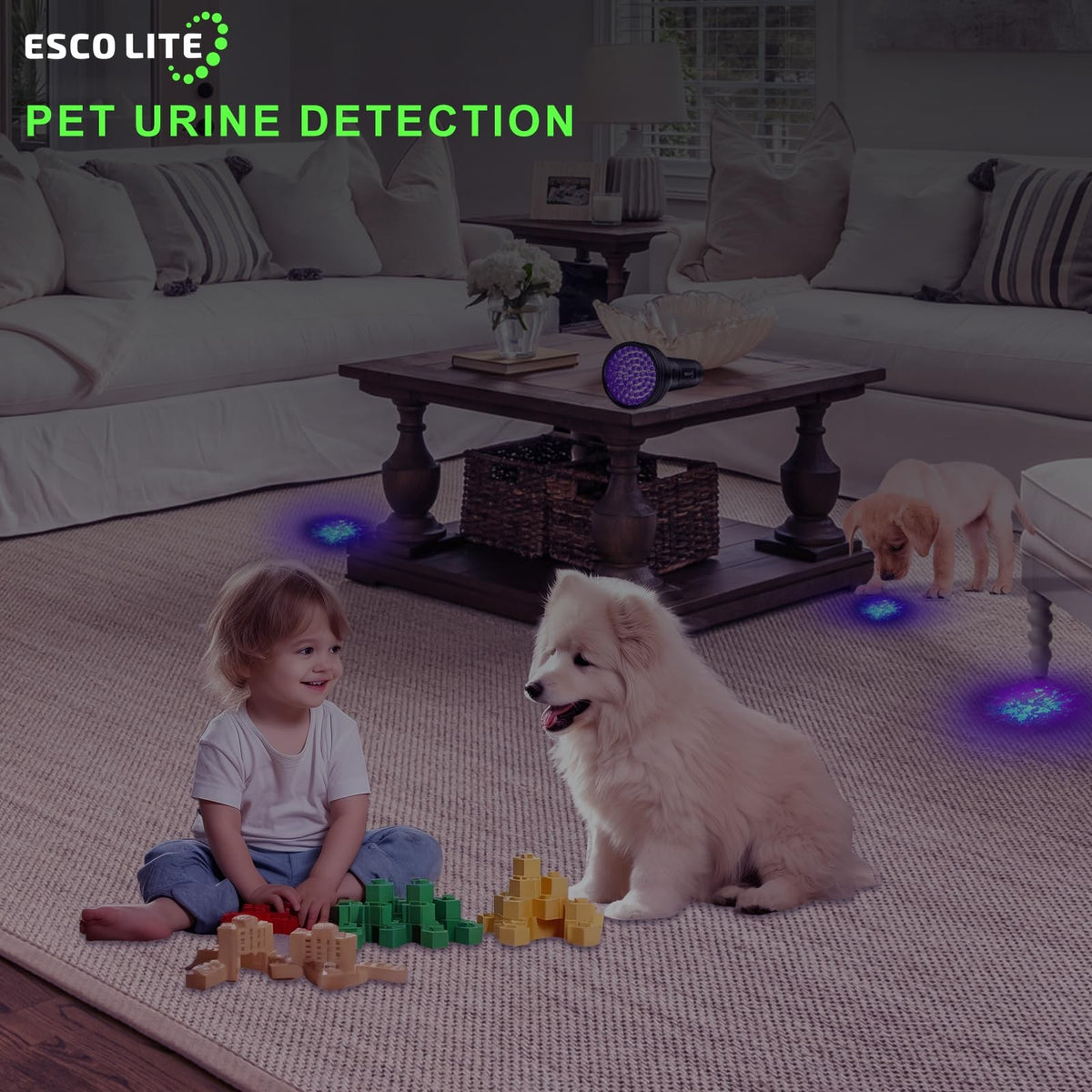 UV Flashlight Black Light with 51 LEDs for Pet Stains Scorpion Detection