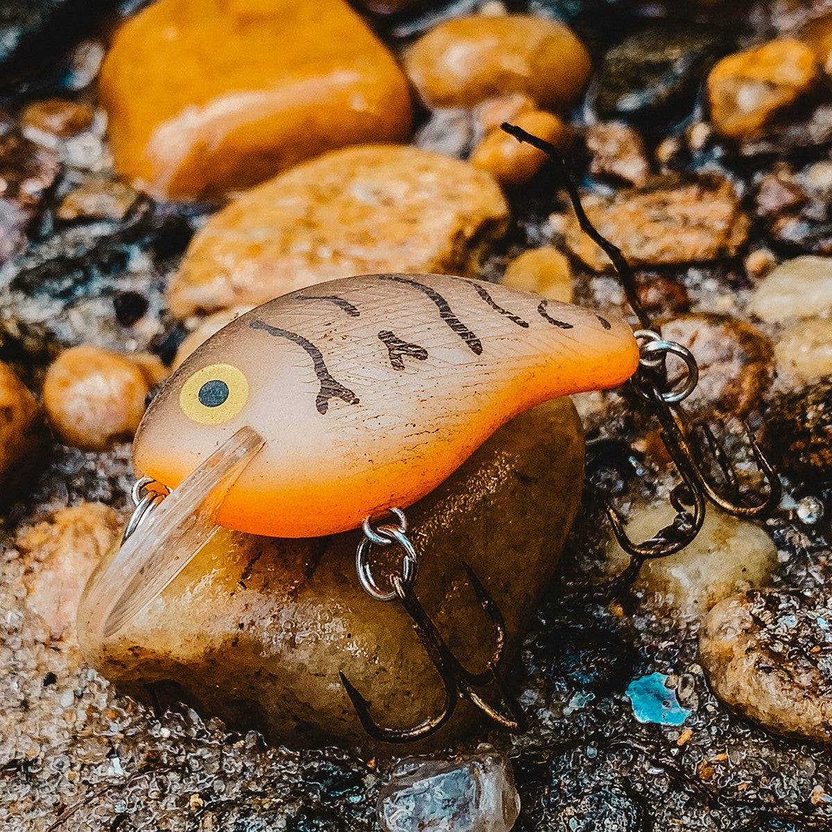 Rebel Pro Pop-R Plus 1/4 oz Green Perch Fishing Lure - Topwater Bait