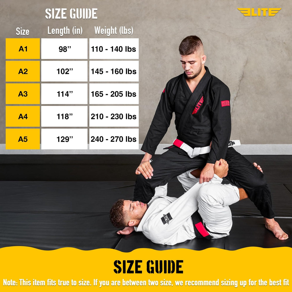 IBJJF Approved Brazilian Jiu Jitsu Belt for Adults Men & Women - Lightweight Cotton with Ranking Stripes