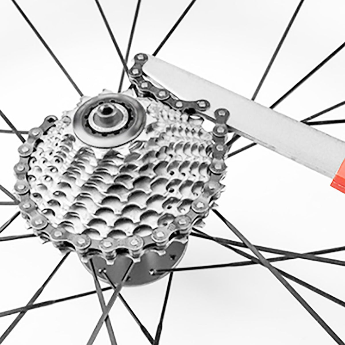 Bike Cassette & Freewheel Removal Tool Kit with Chain Whip for Bicycle Maintenance
