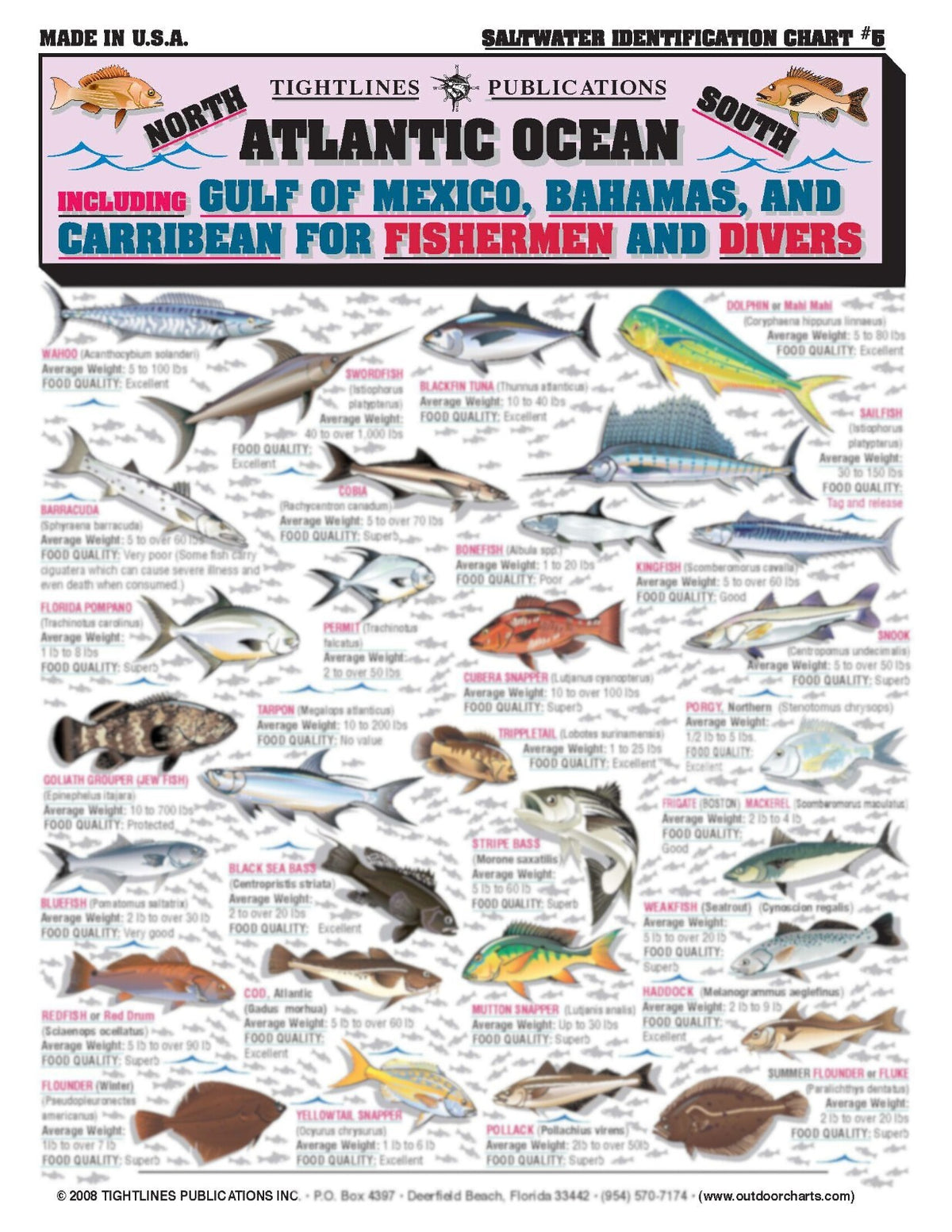 Saltwater Fish Identification Set Waterproof Quick Reference Guide for Anglers