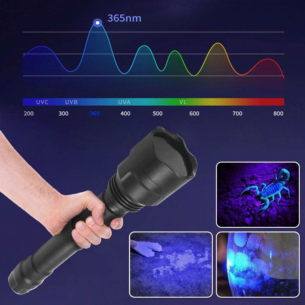 High Output UV LED Flashlight 365nm Ultraviolet Black Light Torch
