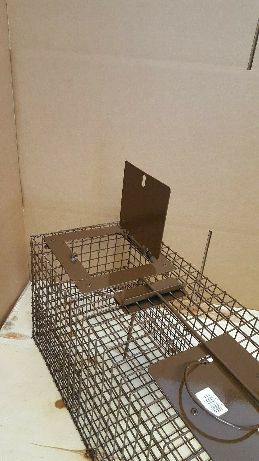 Live Animal Trap for Raccoons, Opossums, Foxes, Bobcats, and Armadillos - Made in USA